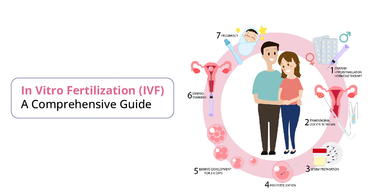 What is the cost of IVF in India?